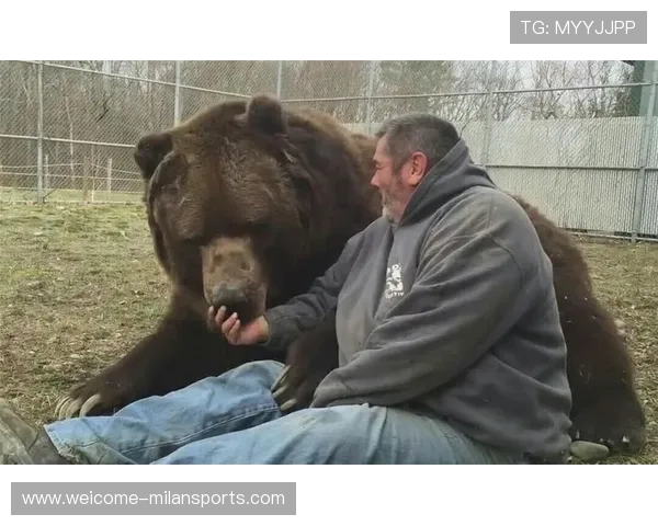 黑熊袭击事件引发城市野生动物安全讨论，黑熊袭击人类视频