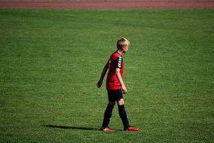 米兰平台-世界拳击青年赛中国选手勇夺金腰带，世界拳击表演赛