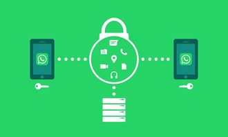 米兰体育网页版登录-体育新闻采编流程中的内容安全机制构建，体育新闻报道要求